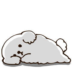 シンプル マルチーズ 日常会話