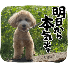 ちゃるスタンプ。2