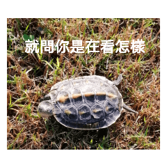 Harper_20230317192622