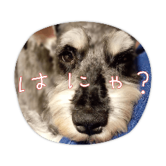 はるくんだよstamp