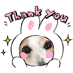 よろしい　ん　です