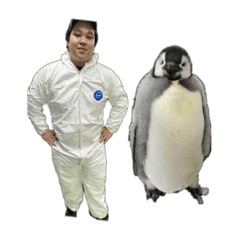 帰ってきたムラヤマさん