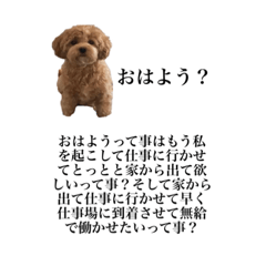 犬ヒス構文(日常編)おまけあり