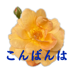 バラスタンプ　rev02 on sale