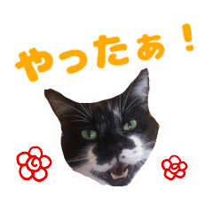 ボブおじさん【修正版】