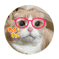 僕の名前はどんぐり。イケメンにゃ〜。