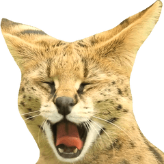 サーバルの日常スタンプ