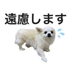 バニおじさんだよ