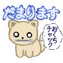 子猫のにゃあNo.２