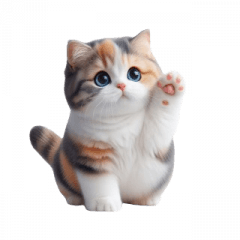 短い足の猫は運動が好きです。