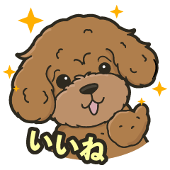 ココ・ザ・プードル - パウサムアイランド