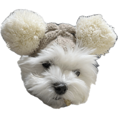 もっと！めるちゃんシティ