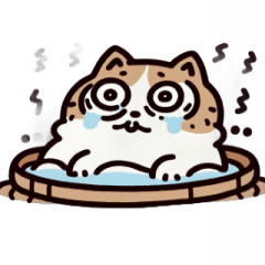 お風呂猫 超びっくり,