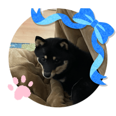 我が家の癒し担当者8️⃣