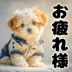 子犬衣装スタンプ