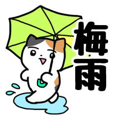 梅雨のにぎやかなミケネコ