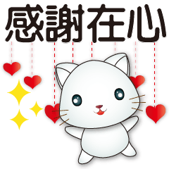 Cute White Cat*Practical Greeting*