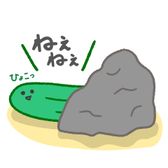 毎日使える＊なまこきゅうり