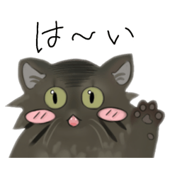 うちの猫たち　LOVE LOVE