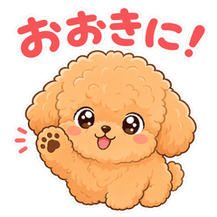 究極にキュートなもこもこトイプードル
