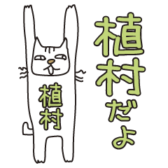 ばんざい猫 植村用
