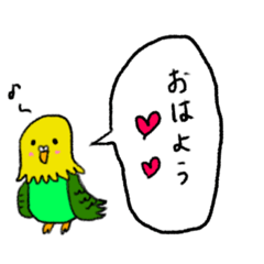 インコのぴーたん01