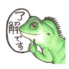 絵本みたいなウォータードラゴン