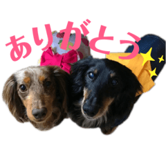 ラルク&ジェシカ