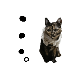 サビ猫のみーこスタンプその２