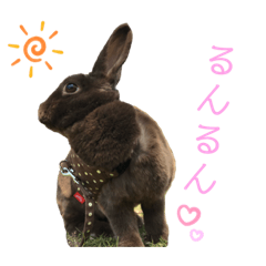 うさぎのちりろー①