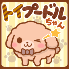 トイプードルちゃんの日常