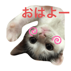 ハチベエスタンプ