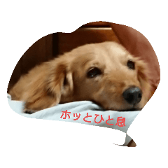 マックのひととき(*^_^*)