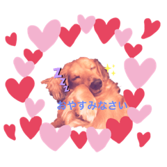 チャコアイスのすたんぷ