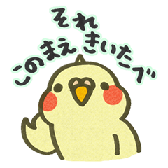 ゆるトリ！オカメインコ