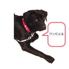 Ｍ吉田のスタンプ