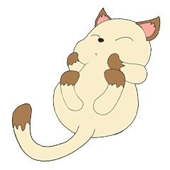 mosso of  unique cat