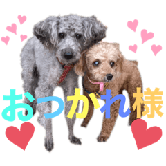 マーチくんとモモちゃん♡