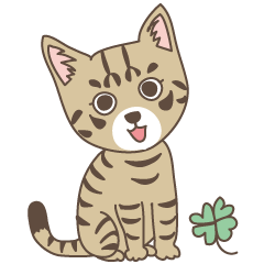 キジトラにゃんこ！！ver.6