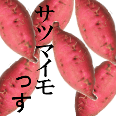 サツマイモっす！ ＜秋＞