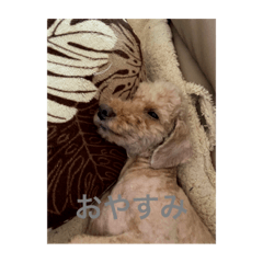 私の大好きな愛犬達のスタンプ