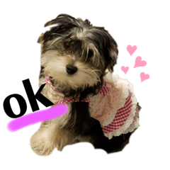 ももちゃんとコルク