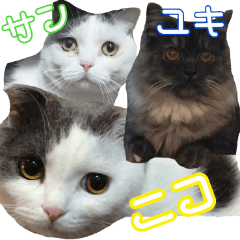 ニコとユキとサン