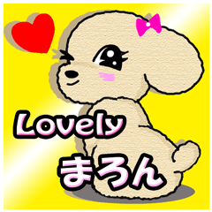 トイプーまろん❤