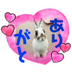 コロンのころころスタンプ