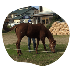 動物の可愛いスタンプです(^^)