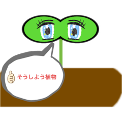 そうしよう植物