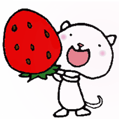 ねこねこナンバーワン【毎日使うパック】