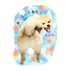 あきさんともっちゃん