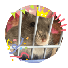 はむちゃんスタンプ♡